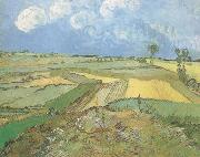 Vincent Van Gogh Wheat Fields at Auvers under Clouded Sky (nn04)